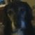 Timothy Sanford's profile image