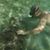 Nino Adam Balagtas's profile image