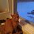 Penny Rutherford's profile image