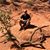 Evgeny Leznik's profile image