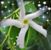 Mary Bersik Broeske Anderson's profile image