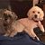 Julie Kornhoff's profile image