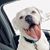 John Gayler's profile image