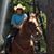 Susan Battles's profile image
