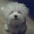 Susan Glazer's profile image