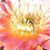 Tracy Nofb's profile image