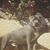 Lori Mounce-Seward's profile image