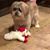 Linda Haun Finley's profile image