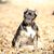 Connie Langston's profile image