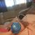 Robin Goodwin's profile image