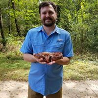 Will Anderson's profile image