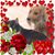 Rhonda McDowell's profile image