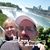 Anna Marie Watson-Hoyer's profile image