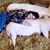 Donna McCall's profile image