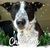 Jan Merrett's profile image