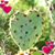 Lea Gough's profile image