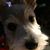 Robin Knight's profile image