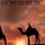 Sandra Saenz Galvan's profile image