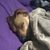 Brandy Provost's profile image