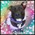 Sian Brown's profile image