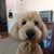 Lori Ralfs's profile image