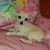 Teresa Myers's profile image