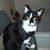 Zella Redick's profile image
