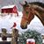 Molly B LaFountain's profile image