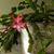 Sue Filer's profile image
