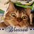 Jan Ray's profile image