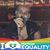 Carina Kristiansen's profile image