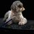Tony Perko's profile image