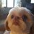 Kathy Strom's profile image