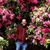 J-Lioux L. G-Loux's profile image