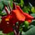 Catherine Robert's profile image