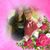 Shirley Cornett Jordan's profile image