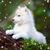 Sherrita Bernal's profile image