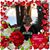 Patti Anfibolo's profile image