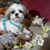 Beverly White's profile image