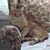 Cindy Cosper's profile image