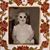 Debby Graham Whitten's profile image