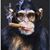 Randy Gerard's profile image