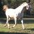 Carole Kingsley Garrett's profile image