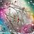 Julie N Dewey Kuhn's profile image