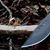 Jonathan Scott Eldridge's profile image