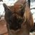 Tracy L Smith's profile image