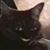 Gabriel Salamanca's profile image