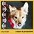 Beka Serdans's profile image