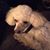Catherine Adams's profile image