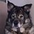 Bill Jones Jr.'s profile image